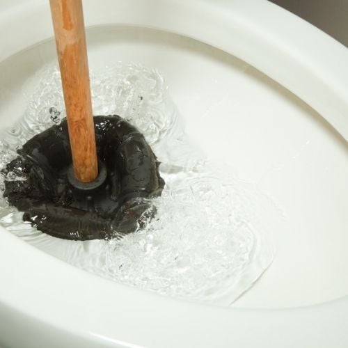 _ Toilet Won’t Flush in Northern Kentucky DIY Fixes, plunger, and When to Call a Plumber- pets-Neiheisel Plumbing