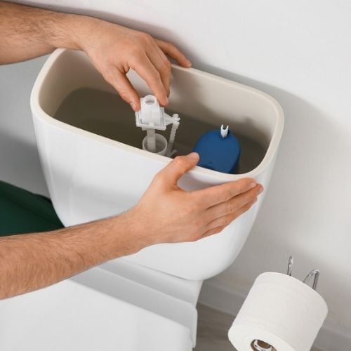 _ Toilet Won’t Flush in Northern Kentucky DIY Fixes, watch it flush, and When to Call a Plumber- pets-Neiheisel Plumbing