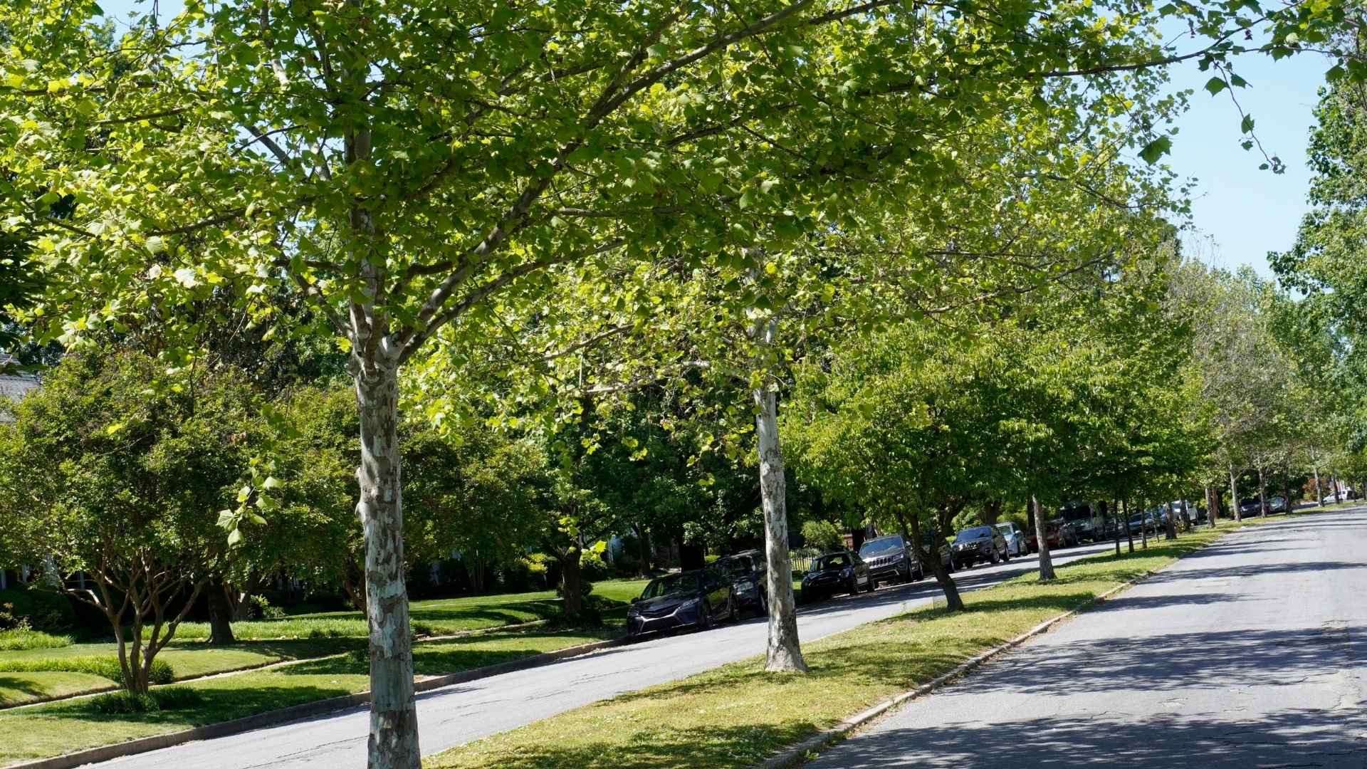 Lakeside Park, KY Residential Plumber | Neiheisel Plumbing